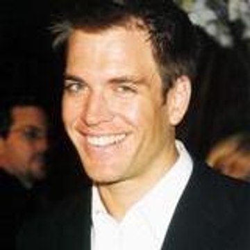 Dinozzo41