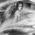 chenoa_66