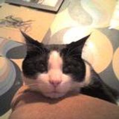 jacques
