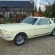 stang14