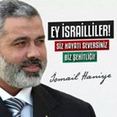 siyahi26