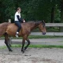 amandine