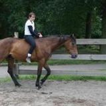 amandine