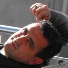rivero2008