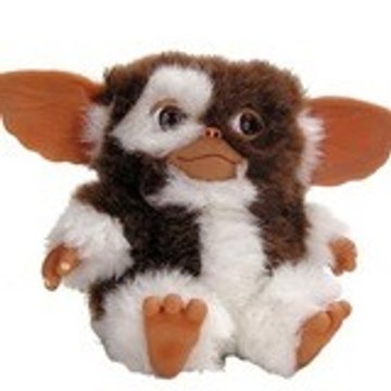 StevenFowl