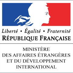 France Diplo TV