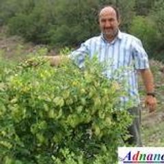 ADNAN ÖZTÜRK
