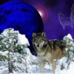 AHMED TEMUÇİN YANLIZKURD