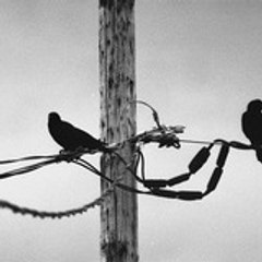 S.Plouffe