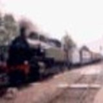 René Alfred René STEINER