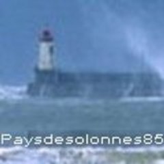 Paysdesolonnes85