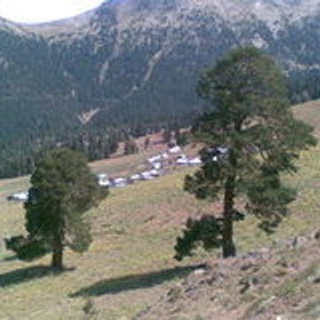 İBRAHİM TÜTÜNCÜ