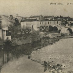 tauronimes