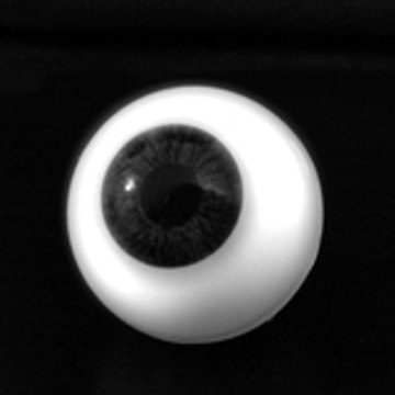 blackoil