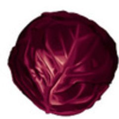 feuille de chou