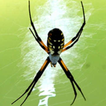 Stillwater NewsPress