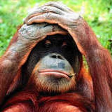 didier