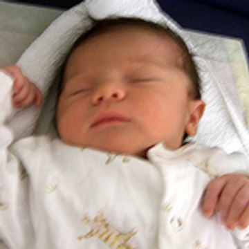 Nils Emil Niederhaus