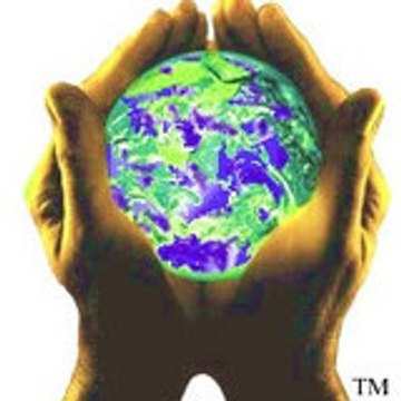 Алёна Жарова