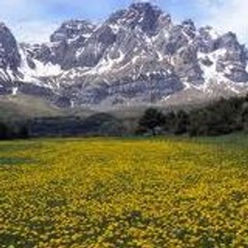 coeur vrai en résistance CCoeur Vrai en Resitance