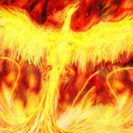 diamontvision vision