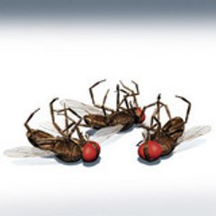 Carlos Vicente Martín