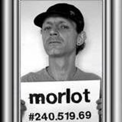 H-iL firehandz III von morlot-goddar