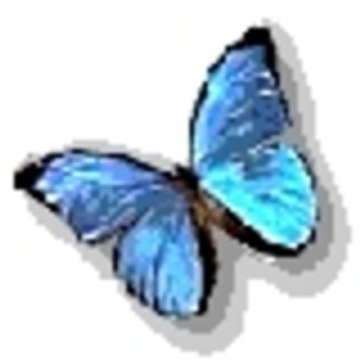 marcela