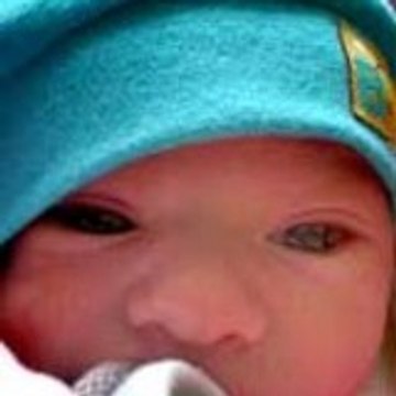 lucille Lucille Rose