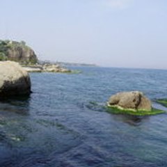 Turgay Sezgin