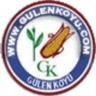 GulenKoyu.com