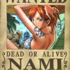 nami13