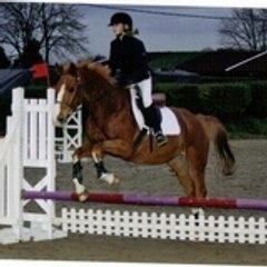 Kango95