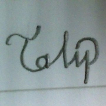 Talip Ozdemir
