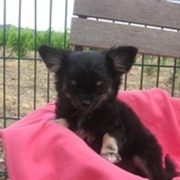 Evelyne Mourier Evelyne