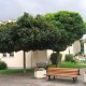 Ecole Primaire de Jury