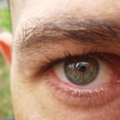 Philippe On Web