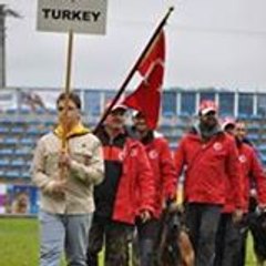 cumali gul