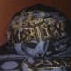 old-school-ghettoboy