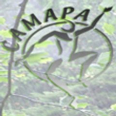 Association Camapa
