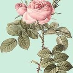 Christine-Léa Frisoni