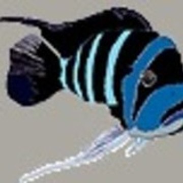 Michel Michel Branchaud