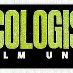 Ecostorm Investigations