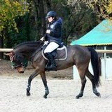 qroas-valta-kersidal