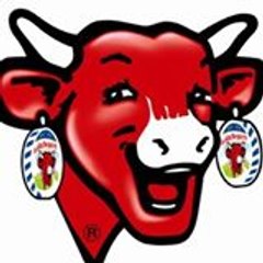 rugby rdc