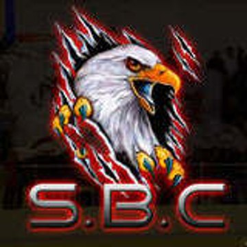 les aigles de sorgues