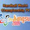 Handballworldcuptv