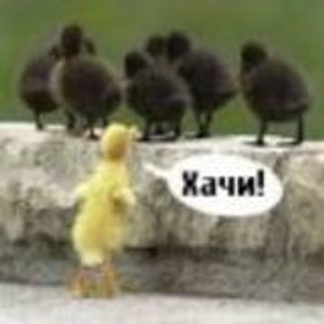 Карл Густав