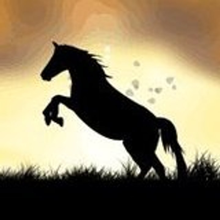 Dailymotion profile picture for @tempest