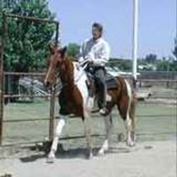 Mane Gait Farms